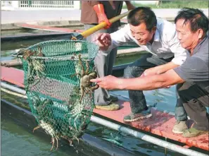  ?? PROVIDED TO CHINA DAILY ?? Fishermen