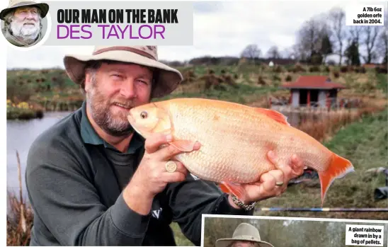  ??  ?? A 7lb 6oz golden orfe back in 2004.