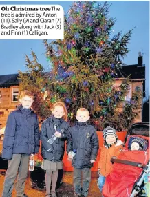  ??  ?? Oh Christmas tree The tree is admired by Anton (11), Sally (9) and Ciaran (7) Bradley along with Jack (3) and Finn (1) Calligan.