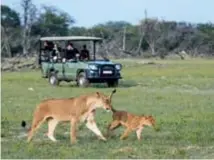  ??  ?? Wilderness Safaris brought luxury to game-rich Hwange National Park when it opened Linkwasha Camp in 2015.