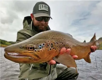  ?? CHILETROUT ?? A proud fly fishermen shows off this humongous brown trout in Aysen. Un orgulloso pescador muestra esta trucha marrón gigante en Aysen.