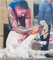  ?? Photo / SSNZ ?? Toa Henderson at Apiti in February. He won the Whangārei A&P Show’s open shearing title on Saturday.