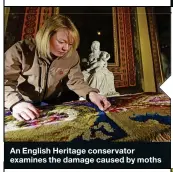 ??  ?? An English Heritage conservato­r examines the damage caused by moths