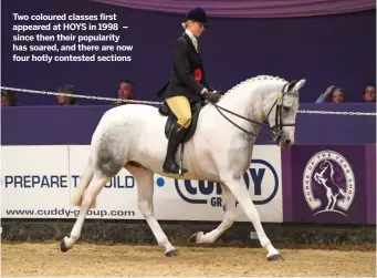  ??  ?? Two coloured classes first appeared at HOYS in 1998 – since then their popularity has soared, and there are now four hotly contested sections