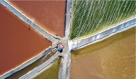  ?? SAM LEWIS ?? Sam Lewis’ photo of Marlboroug­h’s salt ponds has won the aerial category in the New Zealand Geographic Photo of the Year awards.