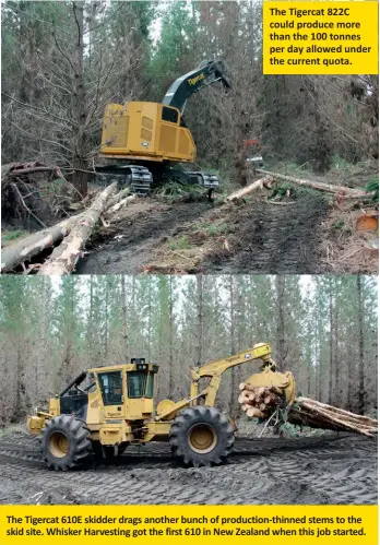  ??  ?? The Tigercat 610E skidder drags another bunch of production-thinned stems to the skid site. Whisker Harvesting got the first 610 in New Zealand when this job started. The Tigercat 822C could produce more than the 100 tonnes per day allowed under the current quota.