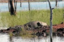  ??  ?? Swimming in Lake Kariba is not recommende­d.