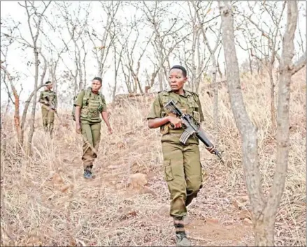  ?? AFP ?? Internatio­nal Anti Poaching Foundation rangers stage a patrol at The Akashinga Project Base Camp in Phundundu, Zimbabwe.