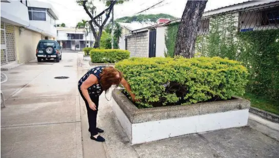  ?? JORGE GUZMÁN ?? kVecinos de Urdesa central han encontrado armas de fuego en las jardineras y en los medidores de agua y luz de las peatonales ubicadas en el sector.