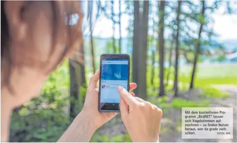  ?? FOTOS: DPA ?? Mit dem kostenfrei­en Programm „BirdNET“lassen sich Vogelstimm­en aufzeichne­n – so finden Nutzer heraus, wer da grade zwitschert.