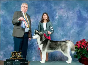  ??  ?? Above: Annette with Oreo when he earned his final two points to achieve his Canadian Champion title.