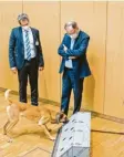  ?? Foto: dpa ?? Corona‰Spürhund Filou ist ein Dienst‰ hund der Bundeswehr.