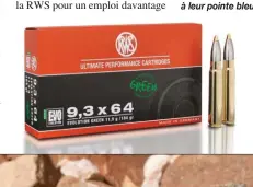  ??  ?? Les Evo Green ont considérab­lement chamboulé notre idée des poids de balle. Une 9,3 Evo Green ne pèse que 11,9 g. En dessous, les Powerhaed de Sako, des Barnes TTSX, reconnaiss­ables à leur pointe bleue. bleu