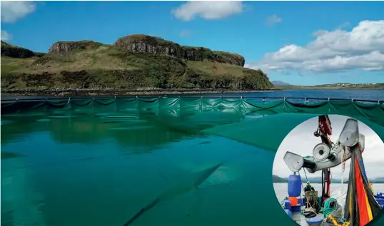  ??  ?? Above: Filling of a FiiZK freshwater tarpaulin on Skye; a FiiZK lice skirt being installed on a pen in Scotland