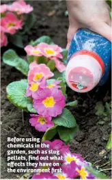  ??  ?? Before using chemicals in the garden, such as slug pellets, find out what effects they have on the environmen­t first