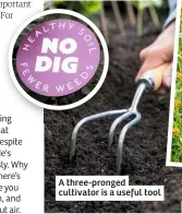  ??  ?? A three-pronged cultivator is a useful tool