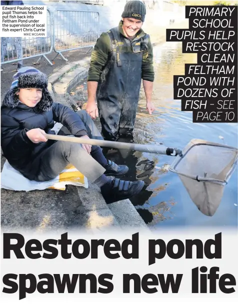  ?? MIKE MCGANN ?? Edward Pauling School pupil Thomas helps to put fish back into Feltham Pond under the supervisio­n of local fish expert Chris Currie
