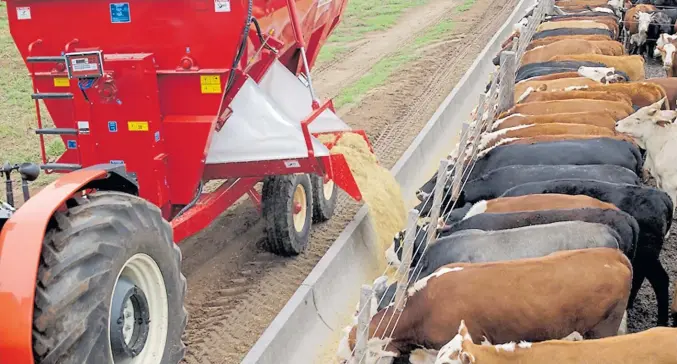  ?? ¡A comer! ?? Las nuevas prestacion­es incluyen mayor eficiencia en el mezclado de las raciones y medidcione­s precisas que permiten llevar un control de cada lote de animales.