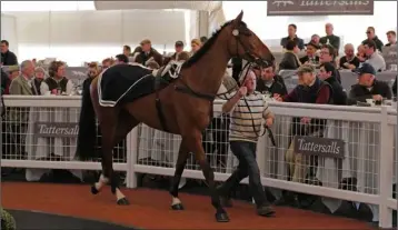  ??  ?? Wide Receiver paraded in the Cheltenham sales ring.