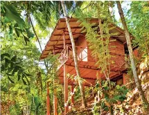  ??  ?? Wood cabanas: Staying in cool comfort, surrounded by lush green