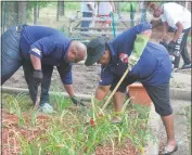  ?? STAFF PHOTO BY JAMIE ANFENSON-COMEAU ?? Above. Russell Yates and Carmella Davis Watkins of the Charles County Democratic Central Committee perform gardening activities while volunteeri­ng at the Tri-County Youth Services Bureau. Below, Melwood volunteers Yadira Coleman and Mandy Dominelli...