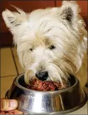  ??  ?? WOLFING IT: Alfie’s pet food