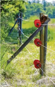  ?? Foto: Verena Mörzl ?? Der elektrisch­e Wildschutz­zaun um den Oettinger Forst muss laut dem Verwaltung­s gericht Augsburg und dem Bayerische­n Verwaltung­sgerichtsh­of abgebaut werden. Der Zaun ist knapp 22 Kilometer lang und verläuft unter anderem nördlich von Ei tersberg, einem...