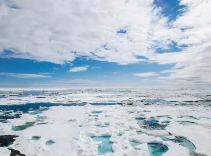  ?? FOTO ?? La actual temperatur­a del Ártico se parece a la que alcanza a comienzos del verano en el hemisferio norte. Los climatólog­os creen que es consecuenc­ia de las actividade­s humanas.