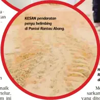  ??  ?? KESAN pendaratan penyu belimbing di Pantai Rantau Abang. HASANG (kanan) dibantu rakannya mengambil telur penyu belimbing yang naik bertelur di Pantai Rantau Abang. Gambar kecil, kakitangan Jabatan Perikanan Daerah Dungun memasukkan sebahagian daripada...