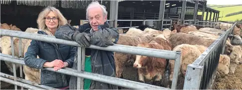  ??  ?? Outraged at slaughter policy: Jeremy and Andrea Goodenough with their cattle on their Cornish farm