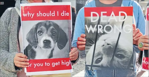  ?? Photo: SUPPLIED/KAPI-MANA NEWS ?? Animal rights: Protestors against animal testing for synthetic drugs.