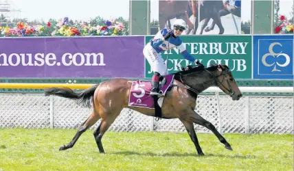  ?? Race Images ?? Sam Spratt salutes the judge on Hasahalo at Riccarton yesterday.