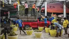  ?? ?? Workers stacking durians on a truck at the durian suppliers Paeng Jae Ting at Noen Sung wholesale fruit market.