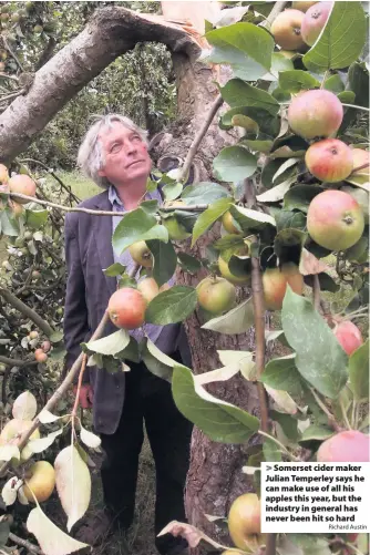  ?? Richard Austin ?? Somerset cider maker Julian Temperley says he can make use of all his apples this year, but the industry in general has never been hit so hard