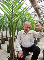  ??  ?? Tan Sri dr augustine Ong has been involved in palm oil research for over 40 years. — Merdeka award