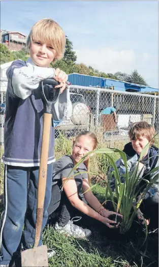  ?? Photo: MATT SHAND ?? Hard work: Nathaniel Fyfe, left, Anna Shaw and Stirling Gooch do their bit for the Paremata School garden.