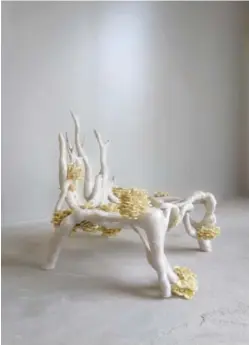  ??  ?? Eric Klarenbeek, Mycelium Chair, 2013