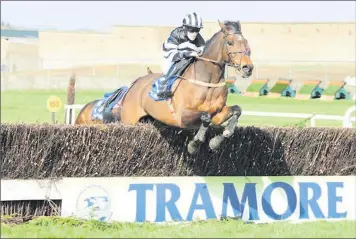  ??  ?? ‘Notimetose­rve’ in action at Tramore in the handicap chase which he won by 2.5 lenghts.