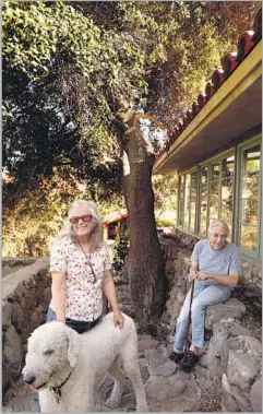  ??  ?? LEAH AND PAUL Culberg, seen with their dog, Louie, planted many native oak trees around their property and “lollipoppe­d” the chaparral.
