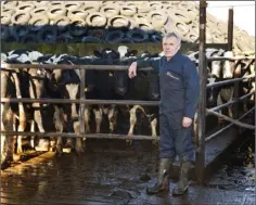  ??  ?? Gerald Quain, Chairperso­n, ICMSA Dairy Committee on his farm.