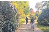  ??  ?? Bei ihrer Fahrradtou­r kommen Rolf und Marlies Lübbers an den ersten blühenden Rhododendr­en vorbei