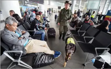  ??  ?? Sombra and his handler at El Dorado Internatio­nal airport in Bogota.