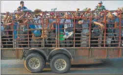  ?? AP ?? APIÑADOS. Decenas de migrantes en un camión de ganado.
