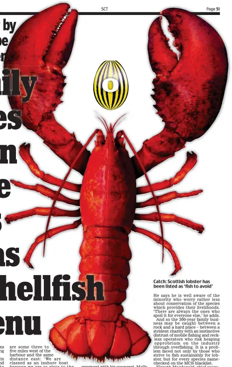  ?? ?? Catch: Scottish lobster has been listed as ‘fish to avoid’