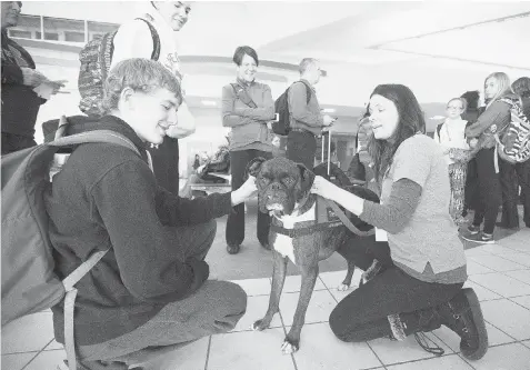  ?? PHOTOS: GREG PENDER/The StarPhoeni­x ?? Therapy dog Subie, with owner Colleen Dell at right, visits airport patrons to reduce the stress of travel on Friday.