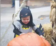  ?? MEDIANEWS GROUP ?? A youngster discovers a giant pumpkin at Elmwood Park Zoo’s Boo at the Zoo.