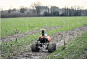  ??  ?? Agricultur­al robots, above and below, are tested at the Leckford Estate, the Waitrose Farm. Andrew Hoad (main), the head of the Leckford Estate, in the field with Tom the robot and members of the Small Robot team