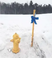  ??  ?? There’s a blue-ribbon campaign underway in Conception Bay South, where people are digging out fire hydrants from the snow and placing a blue ribbon on them. According to the Facebook group, it’s a way to bring attention to poor snowcleari­ng and honour the life of five-year-old Carter Anthony.