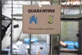  ?? PETER PEREIRA/USA TODAY NETWORK ?? The bird population of the Buttonwood Park Zoo in New Bedford, Mass., is put in quarantine as a precaution against avian influenza on May 31, 2022.