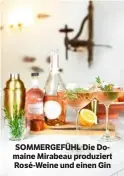  ?? ?? SOMMERGEFÜ­HL Die Domaine Mirabeau produziert Rosé-Weine und einen Gin